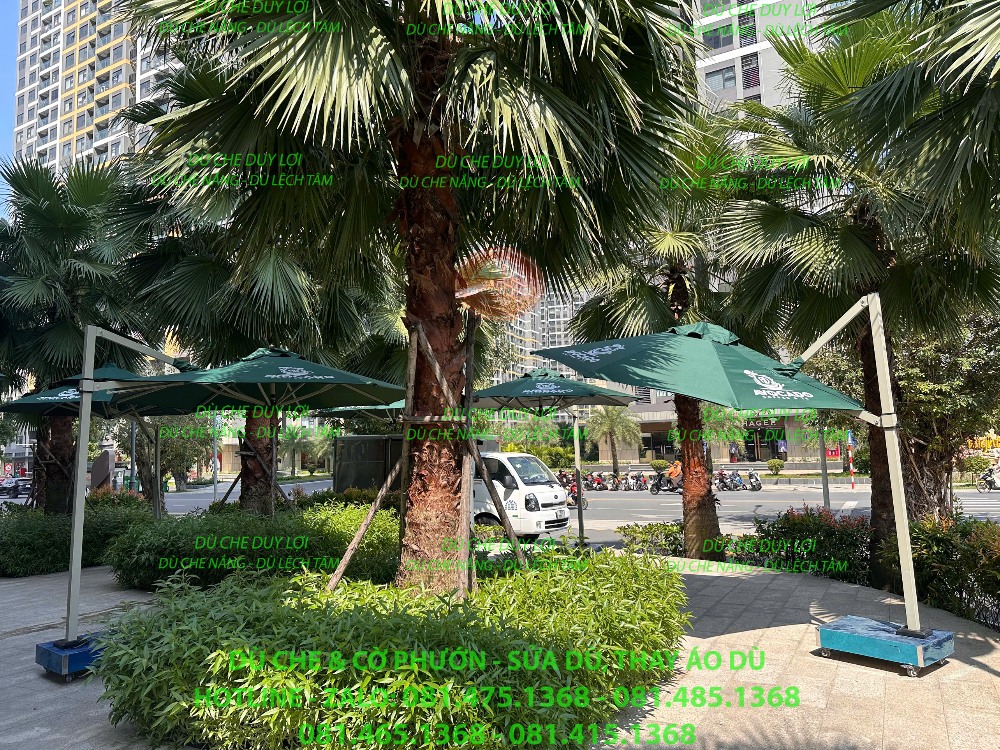 Dù lệch tâm tròn màu xanh đặt cạnh hàng cây, với đế bố trí sát mép khu vực sử dụng.